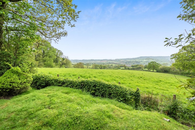 Images for Beech Walk, Gittisham, Honiton