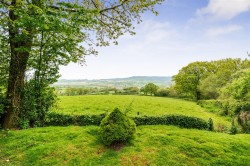 Images for Beech Walk, Gittisham, Honiton