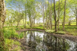Images for Efford, Shobrooke, Crediton