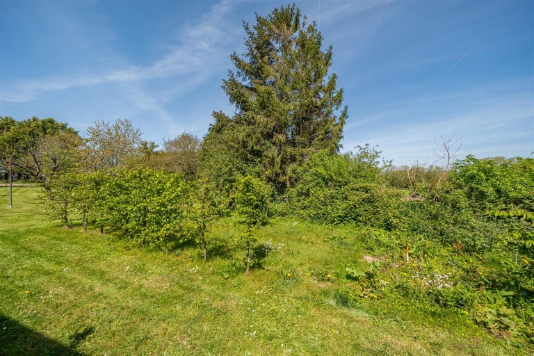 Images for Newton St. Cyres, Exeter