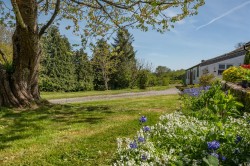 Images for Newton St. Cyres, Exeter