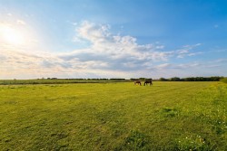 Images for Caythorpe Heath, Caythorpe, Grantham