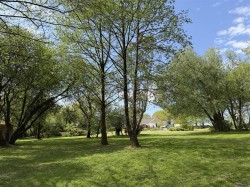 Images for Near Witheridge