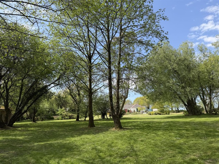 Images for Near Witheridge