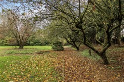 Images for Ingles Lane, Doddington