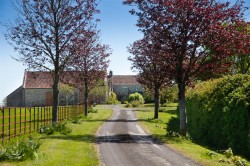 Images for Babcary, Somerton, Somerset