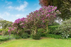 Images for Yelverton - Adjacent to Roborough Down