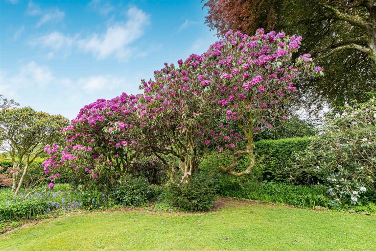 Images for Yelverton - Adjacent to Roborough Down