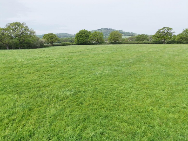 Click the photo for more details of Cole's Lane, Cherry Orchard, Shaftesbury