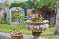 Images for Carmen Street, Great Chesterford, Saffron Walden