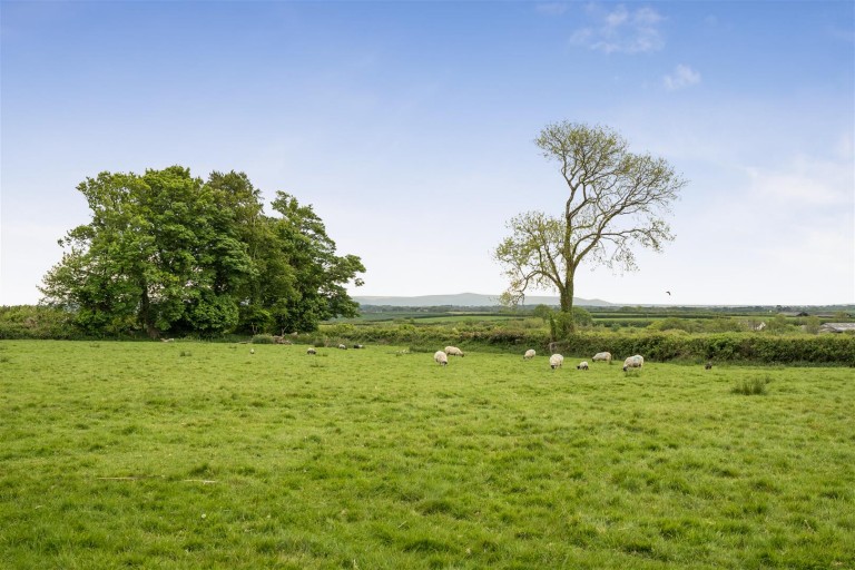 Images for Ashreigney