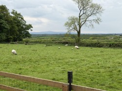 Images for Ashreigney