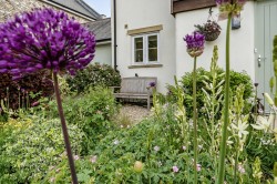 Images for Sopers Field, Chardstock
