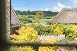 Images for Sopers Field, Chardstock