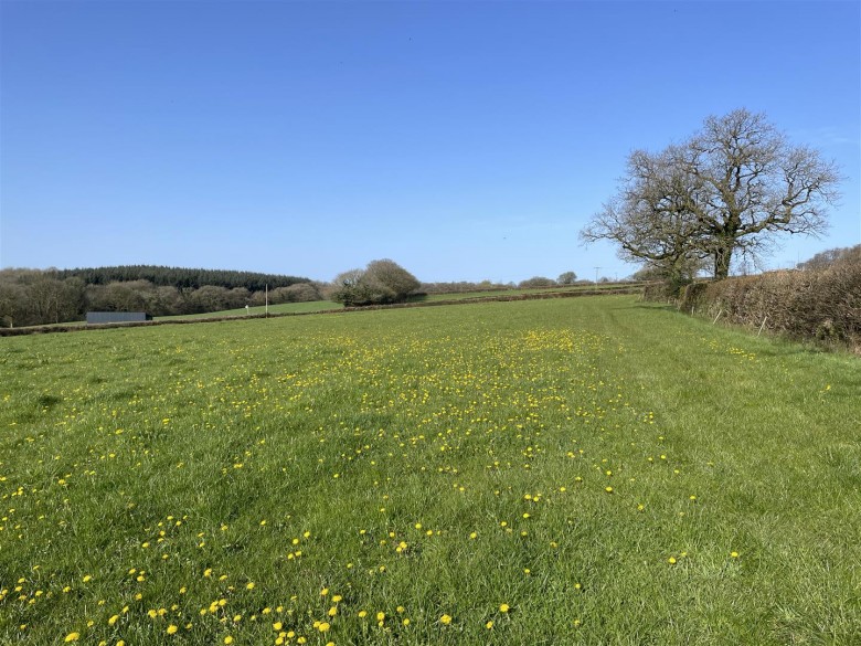 Click the photo for more details of Rose Ash, South Molton