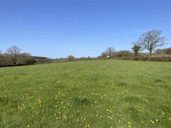 Images for Rose Ash, South Molton