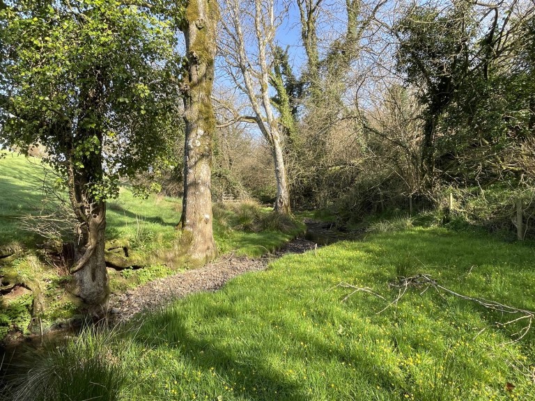 Images for Rose Ash, South Molton