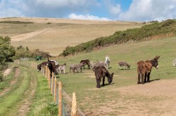 Images for Limerstone, Isle of Wight