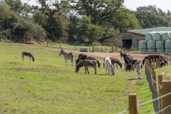 Images for Limerstone, Isle of Wight