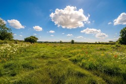 Images for Fulbeck, Grantham