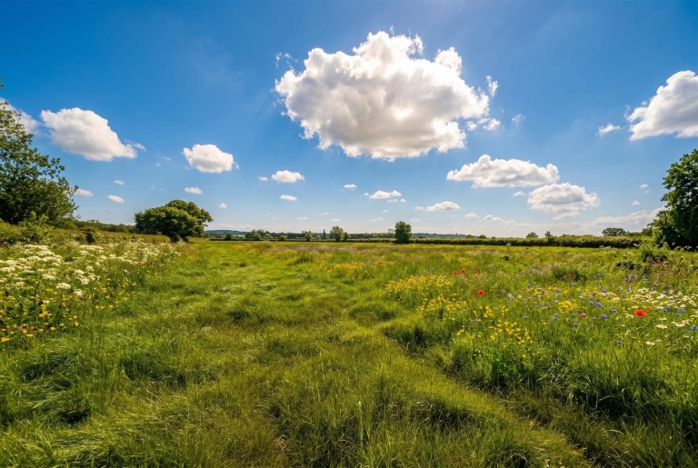 Images for Fulbeck, Grantham