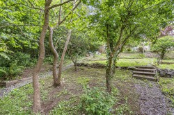 Images for Christina Park, Totnes