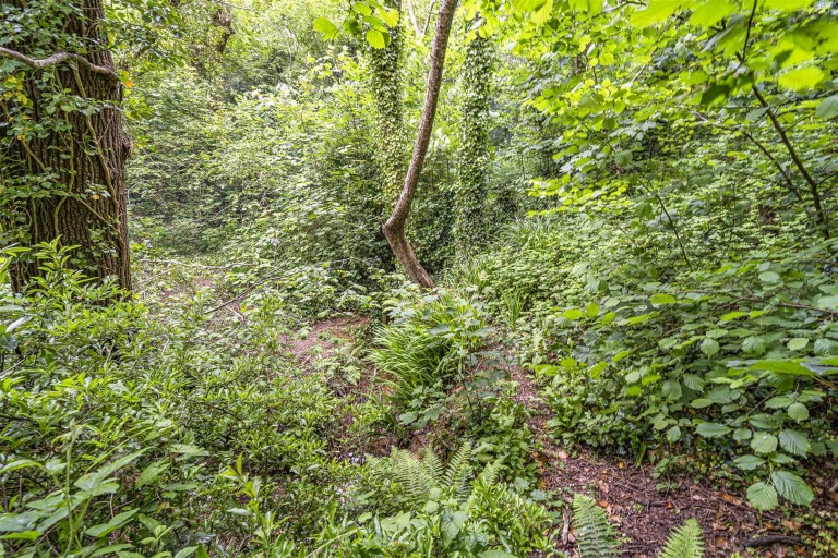 Images for Christina Park, Totnes
