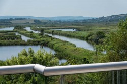 Images for St. Helens, Isle of Wight