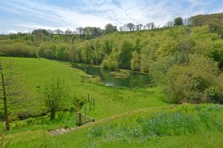 Images for West Anstey, South Molton