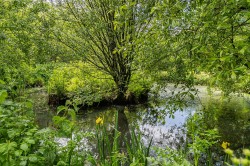 Images for Golberdon - 3.95 acres in all