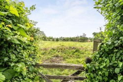 Images for Ilford, Ilminster