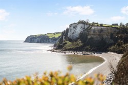 Images for Old Beer Road, Seaton