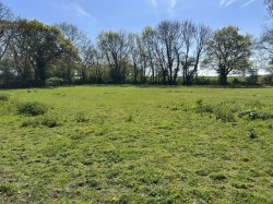 Images for Broadhembury, Honiton