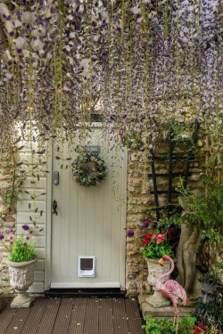 Images for Horton, Ilminster