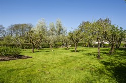 Images for Bishops Nympton, South Molton