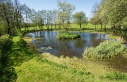 Images for Bishops Nympton, South Molton
