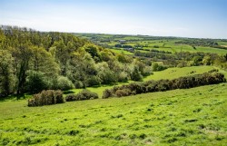 Images for Bishops Nympton, South Molton