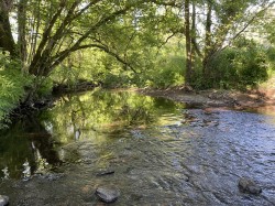 Images for Bishops Nympton, South Molton