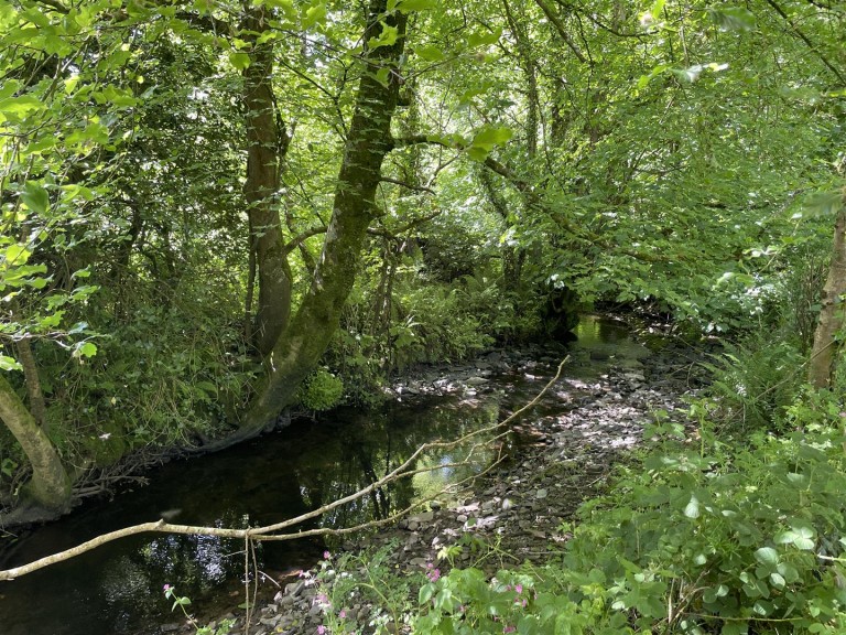 Images for Hartland, Bideford