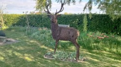 Images for Compton Road, South Petherton
