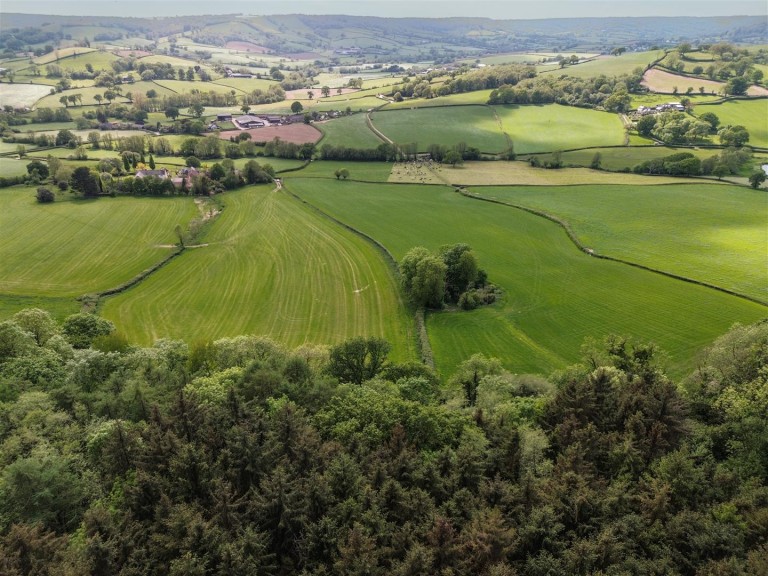 Images for Colyton