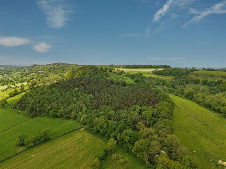 Images for Colyton
