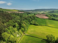 Images for Colyton