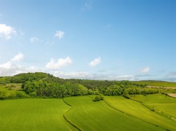 Images for Colyton