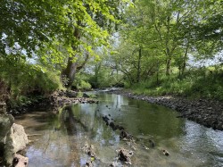 Images for Near Chulmleigh