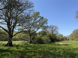 Images for Near Chulmleigh