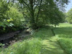 Images for Near Chulmleigh