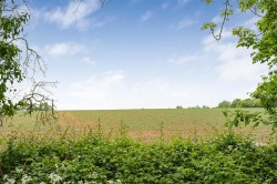 Images for High Street, Hempstead, Saffron Walden