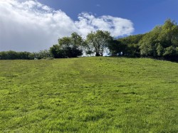 Images for Bridford, Exeter