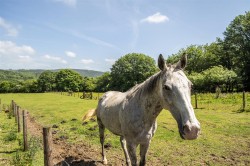 Images for Tamar Valley, East Cornwall - 4.58 acres